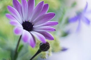 Sommerzeit 2