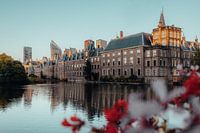 The Hofvijver in The Hague during sunset
