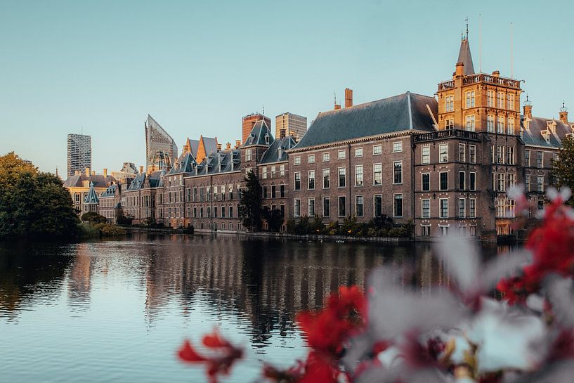 De hofvijver in Den Haag tijdens zonsondergang van Bart Maat