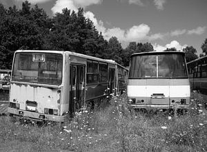 Oud buskerkhof met geparkeerde bussen van Animaflora PicsStock