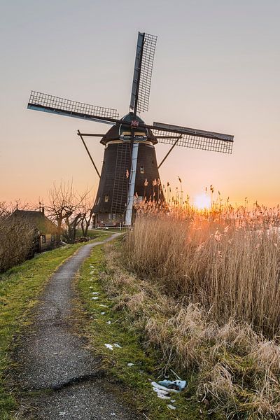 Zonsondergang molen Kinderdijk van Mark den Boer