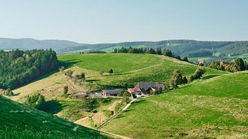 Black Forest, Germany by Eugenio Eijck