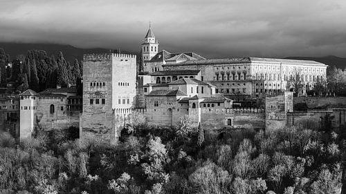 Het Alhambra in Zwart-Wit