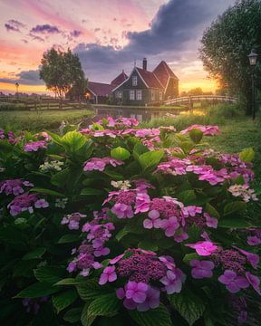 Zaanse Schans cottage by Chalana Smissaert