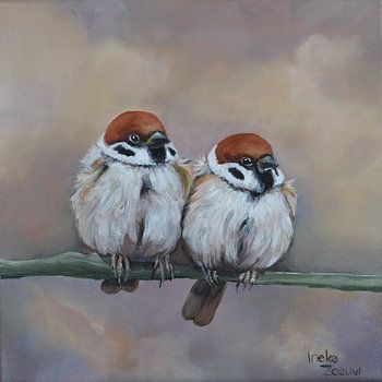 Musjes, samen is alles fijner.