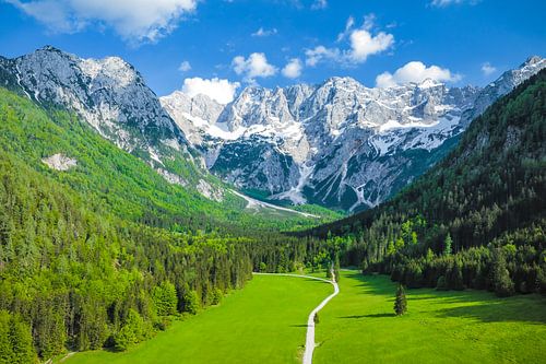 Vue aérienne de la vallée de Zgornje Jezersko au printemps