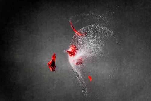 Highspeed capture of red balloon parts and waterdrops splashing away after gunshot in front of dark 