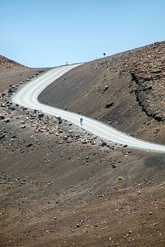Downhill - vom Haleakala-Krater auf Maui (Hawaii) von t.ART