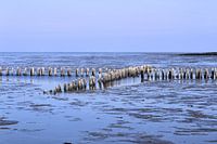 Noordzee