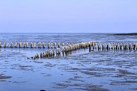Noordzee van Ines Thun
