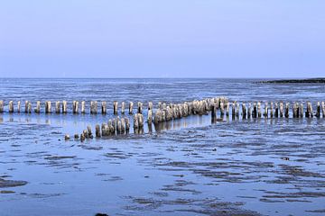 North Sea by Ines Thun