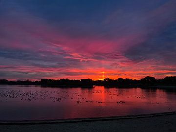 Zonnezuil boven de Rhederlaag in Lathum zonsopkomst van Sharon Hendriks