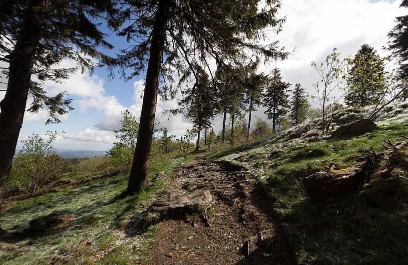 Great Field Mountain von Freedom Streaming Photography