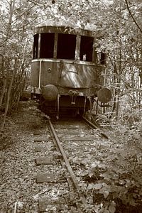 Verlaten treinwagon in het bos