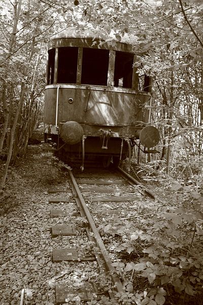 Verlaten treinwagon in het bos by Marcel Runhart