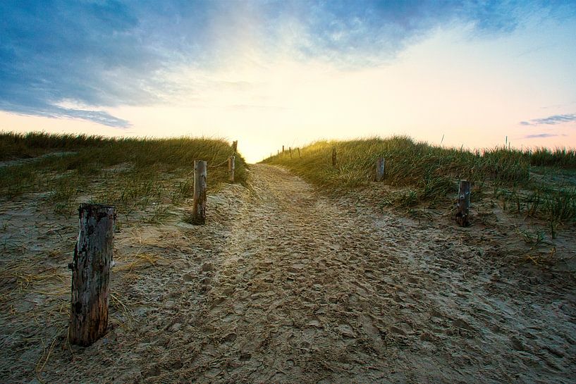 On the Baltic Sea beach with dunes by Martin Köbsch
