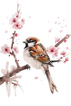Aquarelle Moineau avec fleurs de cerisier sur Christian Müringer