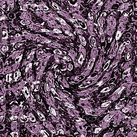 The coulour purple by Dennis van Dorst