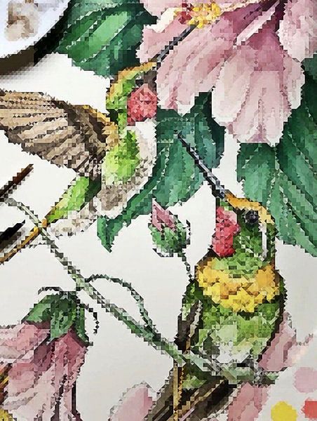 Colibris colorés | Une image de deux colibris colorés parmi des fleurs roses  par Wil Vervenne