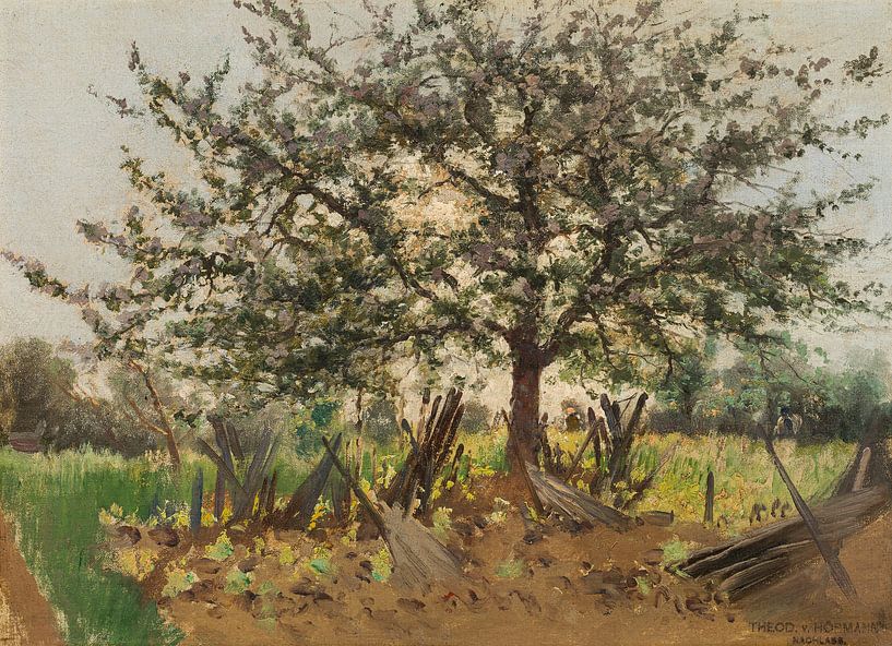 Theodor von Hörmann, Flowering fruit tree. Study, 1891 by Atelier Liesjes