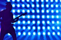 Bass player