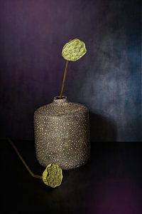 Minimalistisches Zen-Stillleben mit den Samenkapseln der Lotusblüte