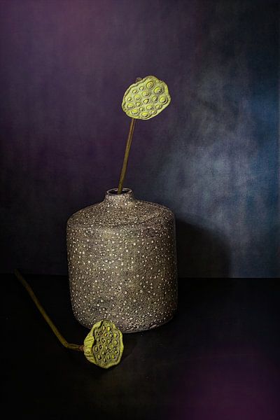 Minimalistic Zen still life with the seed pods of the lotus flower by Saskia Dingemans Awarded Photographer