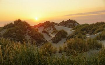 Terschelling, wat een eiland van Dirk van Egmond