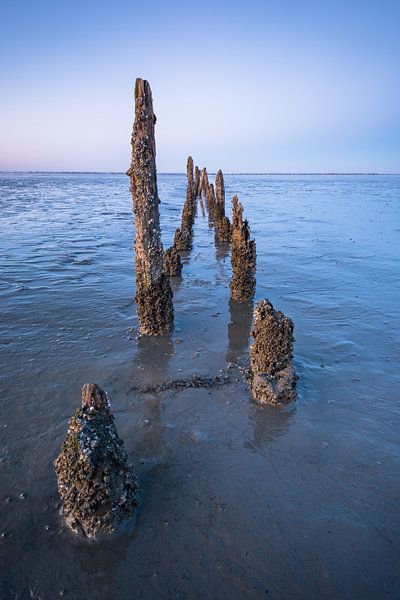 Weathered bollards on the mudflats near Noordaap by Rick Goede