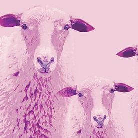 Sheep vun Diek - Schafe vom Elbdeich  van Deern vun Diek