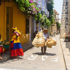 Cartagena sur Selma Hamzic