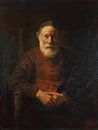 Das Kunstwerk Bildnis eines alten Mannes in rotem Gewand - Rembrandt von Rembrandt van Rijn Miniaturansicht