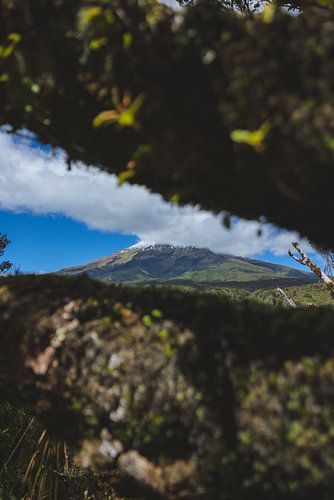 Mount Taranaki: Nieuw-Zeelands Trotse Vulkanische Reus