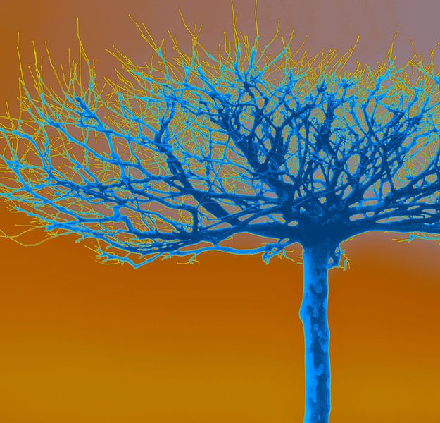 Natural beauty - modern by Kirsten Warner