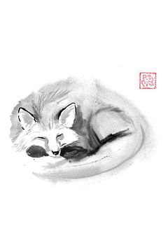 sleeping fox