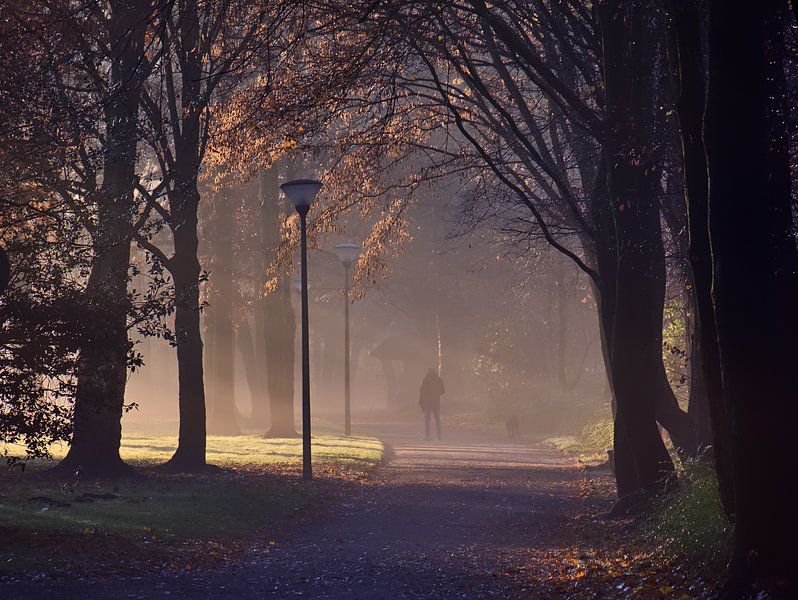 Ochtend mist 11 van Edgar Schermaul