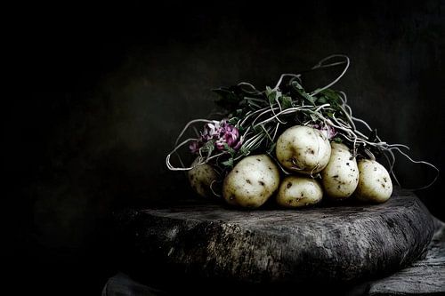 Potato still life