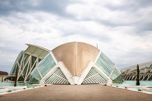 Valencia architect Santiago Calatrava van Silvia Thiel