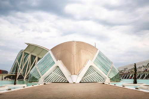 Valencia architect Santiago Calatrava