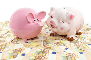 Twee spaarvarkensTwo pink piggy banks on spread euro notes