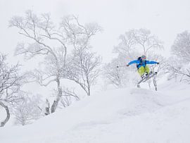 Freerider in Japan von Menno Boermans