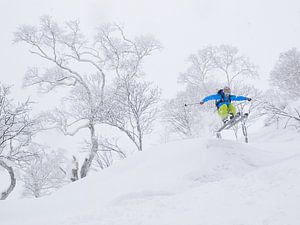 Freerider in Japan