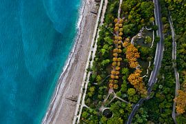 Alley with trees and road. Hotels among the green park on the seafront with turquoise water and the  by Michael Semenov
