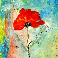 Mohn - Collage