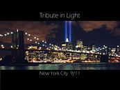 Tribute in Light New York City 9/11 van Tammo Strijker thumbnail