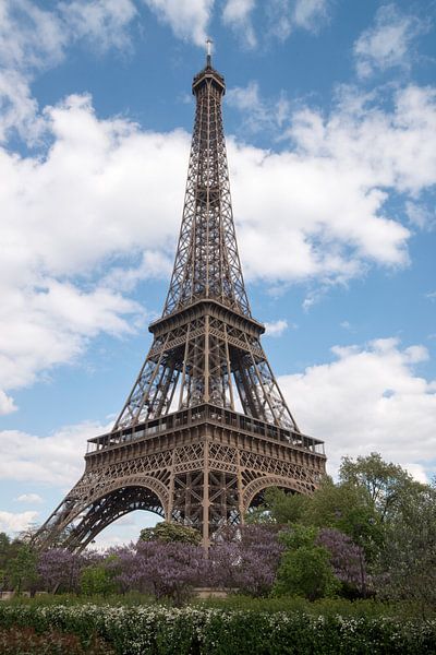 Eiffeltoren van Peter Apers