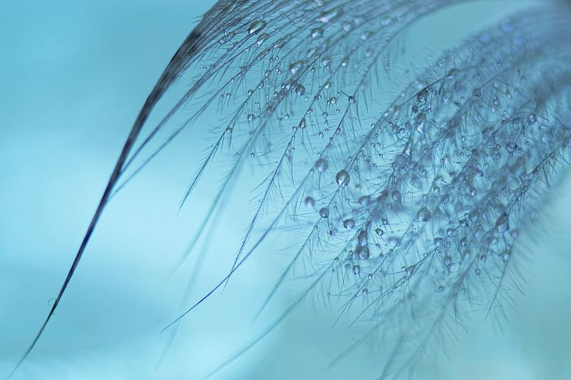 Une plume avec des gouttes en étain turquoise. par Birgitte Bergman