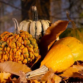 Pompoenen in herfstbos van Gaby Hendriksz