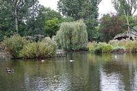 pond
