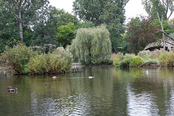 pond